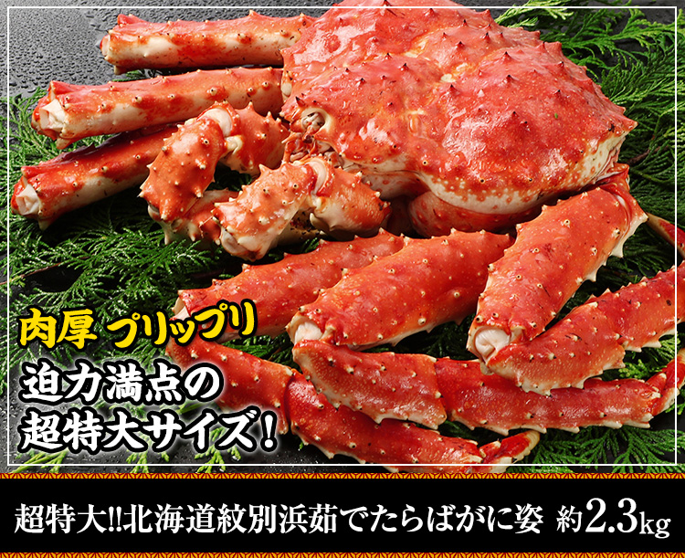 超特大！！北海道紋別浜茹で たらばがに姿 約2.3kg