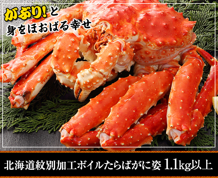 北海道紋別加工ボイルたらば姿 1.1kg以上